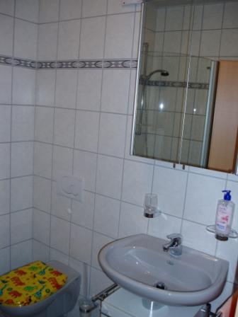 Spiegelschrank im Badezimmer der Fewo 2 
